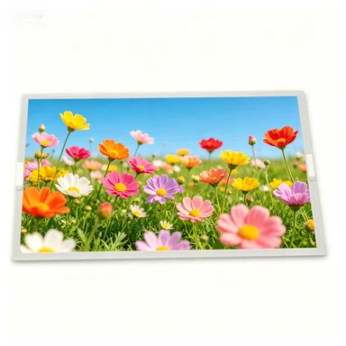 TM128VVGP02 12.3 inch LCD panel fast shipping
TM128VVGP02 12.3 inch LCD panel fast shipping