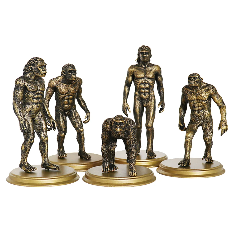 5 Pcs Models Human Plastic Creative Children Toy Golden Teaching Tool Educational Preschool
5 Pcs Models Human Plastic Creative Children Toy Golden Teaching Tool Educational Preschool