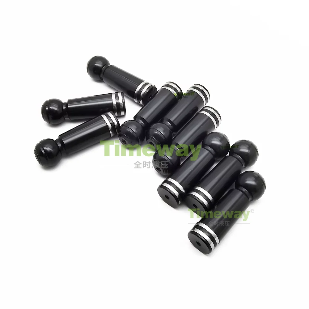 Hydraulic Replacement Parts A6VM215 Pistons for Repair REXROTH Piston Pump or Motor Parts
Hydraulic Replacement Parts A6VM215 Pistons for Repair REXROTH Piston Pump or Motor Parts