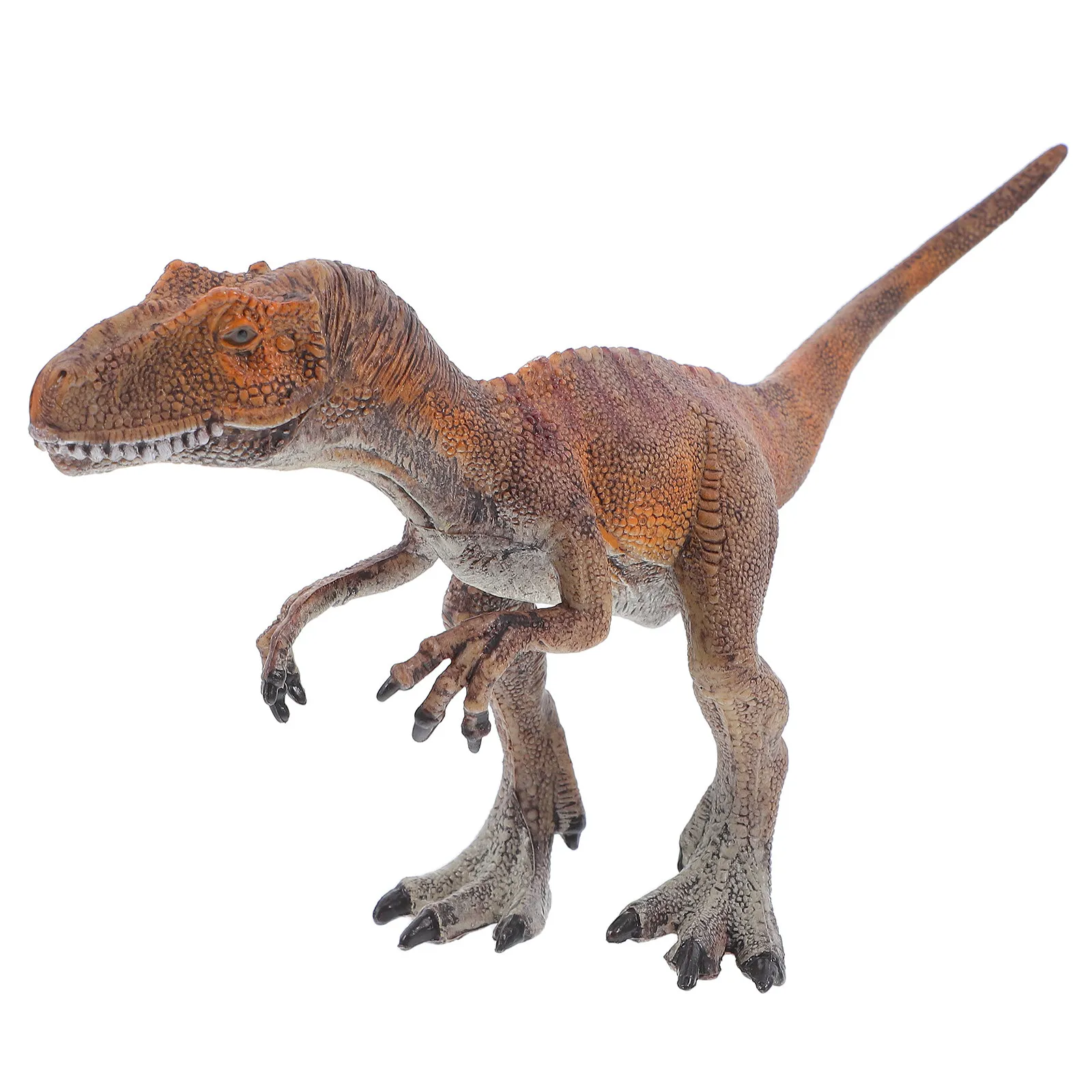 1Pcs High Quality Allosaurus Dinosaur Ornament Fashionable Chic Home Decor Piece Realistic Simulation Dinosaur Ornament for Kids
1Pcs High Quality Allosaurus Dinosaur Ornament Fashionable Chic Home Decor Piece Realistic Simulation Dinosaur Ornament for Kids
