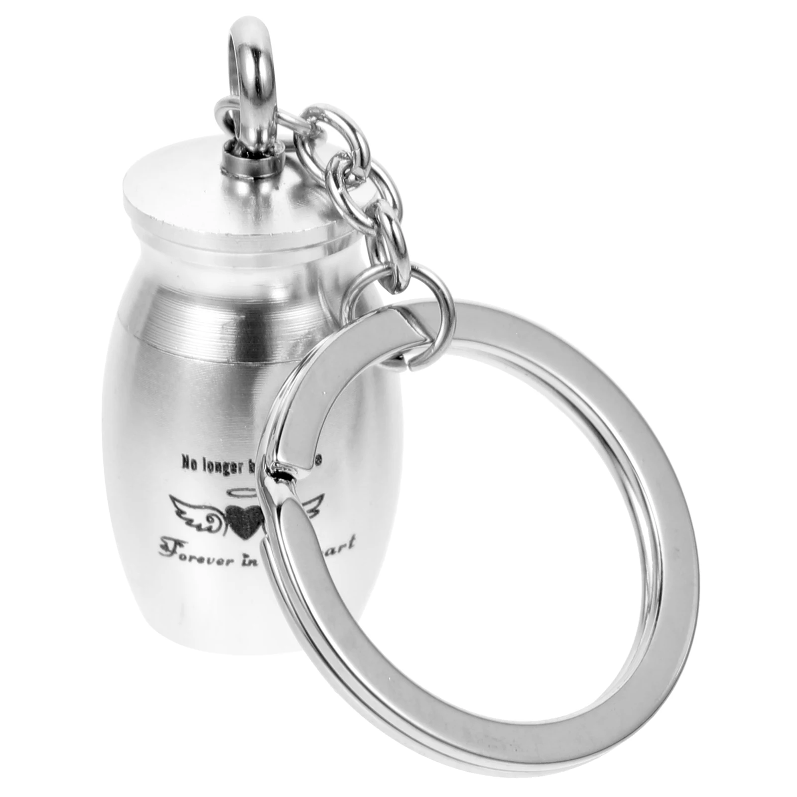 Pet Urn Keychain Cremains Keepsake Memorial Necklace Pendant Silver Baby Boy Ash Container Durable Metal Finish Small
Pet Urn Keychain Cremains Keepsake Memorial Necklace Pendant Silver Baby Boy Ash Container Durable Metal Finish Small