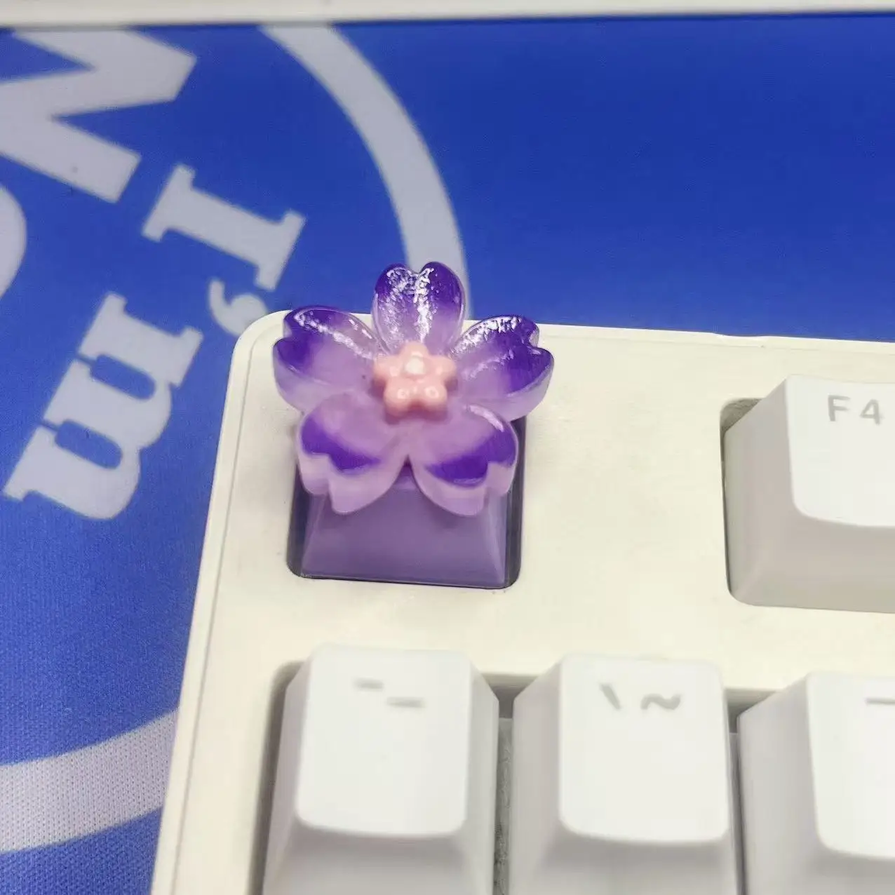 DIY Transparent Flower Purple Pink Keycap Universal Axis Gaming Mechanical Keyboard Replacement Keycap R4 Height ESC Key
DIY Transparent Flower Purple Pink Keycap Universal Axis Gaming Mechanical Keyboard Replacement Keycap R4 Height ESC Key