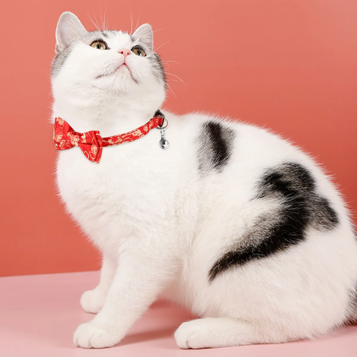 1Pcs Cat Collar Chinese Style Adjustable Bell Bowknot Pet Necklace Cute Comfortable Fabric Neck Ring for Dogs Cats Pet Supplies
1Pcs Cat Collar Chinese Style Adjustable Bell Bowknot Pet Necklace Cute Comfortable Fabric Neck Ring for Dogs Cats Pet Supplies