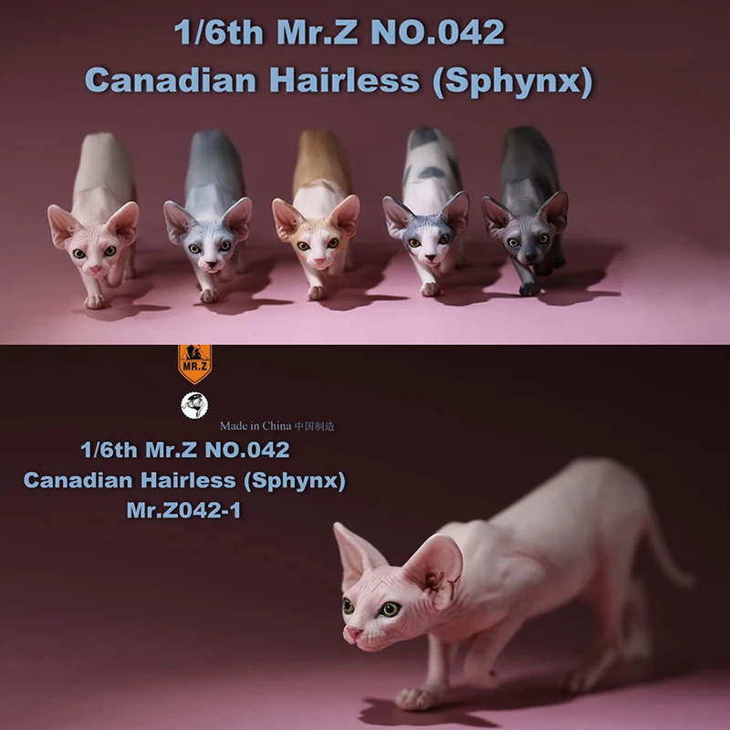 Модель канадской кошки без волос JXK в масштабе 1:6, милая лечебная глупая Милая кошка, креативное украшение для сцены, украшения для автомобиля
Модель канадской кошки без волос JXK в масштабе 1:6, милая лечебная глупая Милая кошка, креативное украшение для сцены, украшения для автомобиля