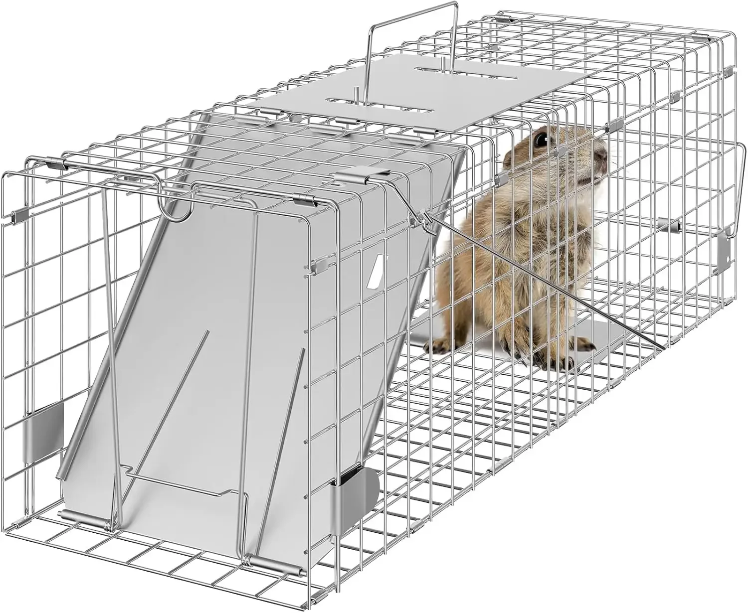 Live Animal Cage Trap,24" x 8" x 8" Humane Cat Trap Galvanized Iron,Folding Animal Trap with Handle for Small Rabbits Groundhogs
Live Animal Cage Trap,24" x 8" x 8" Humane Cat Trap Galvanized Iron,Folding Animal Trap with Handle for Small Rabbits Groundhogs