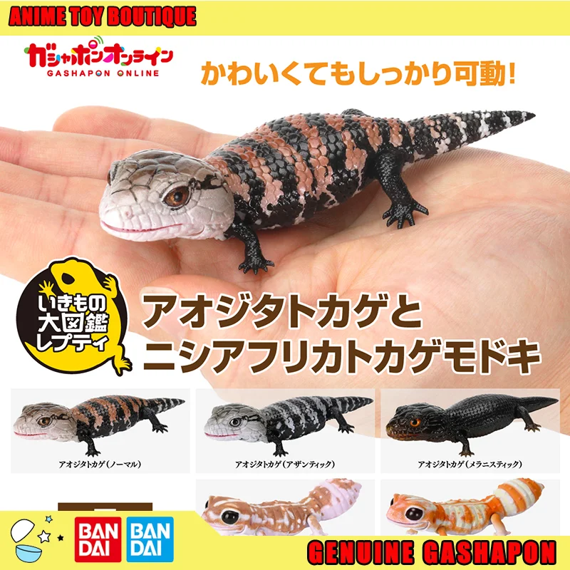 Bandai Genuine Biological Encyclopedia Tiliqua Scincoides Lizard Gecko Figure Gashapon Ball Joint Movable Figurine Original
Bandai Genuine Biological Encyclopedia Tiliqua Scincoides Lizard Gecko Figure Gashapon Ball Joint Movable Figurine Original