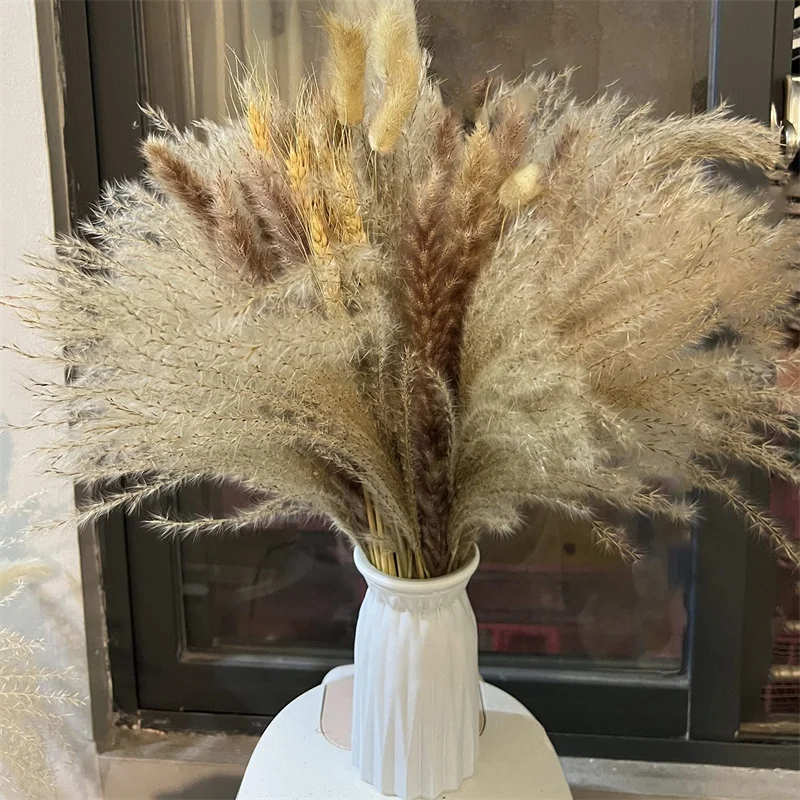Natural Real Pampas Grass Dried Flowers Bulrush Interior Decoration For Home Party Wedding Accessories Fall Decor
Natural Real Pampas Grass Dried Flowers Bulrush Interior Decoration For Home Party Wedding Accessories Fall Decor