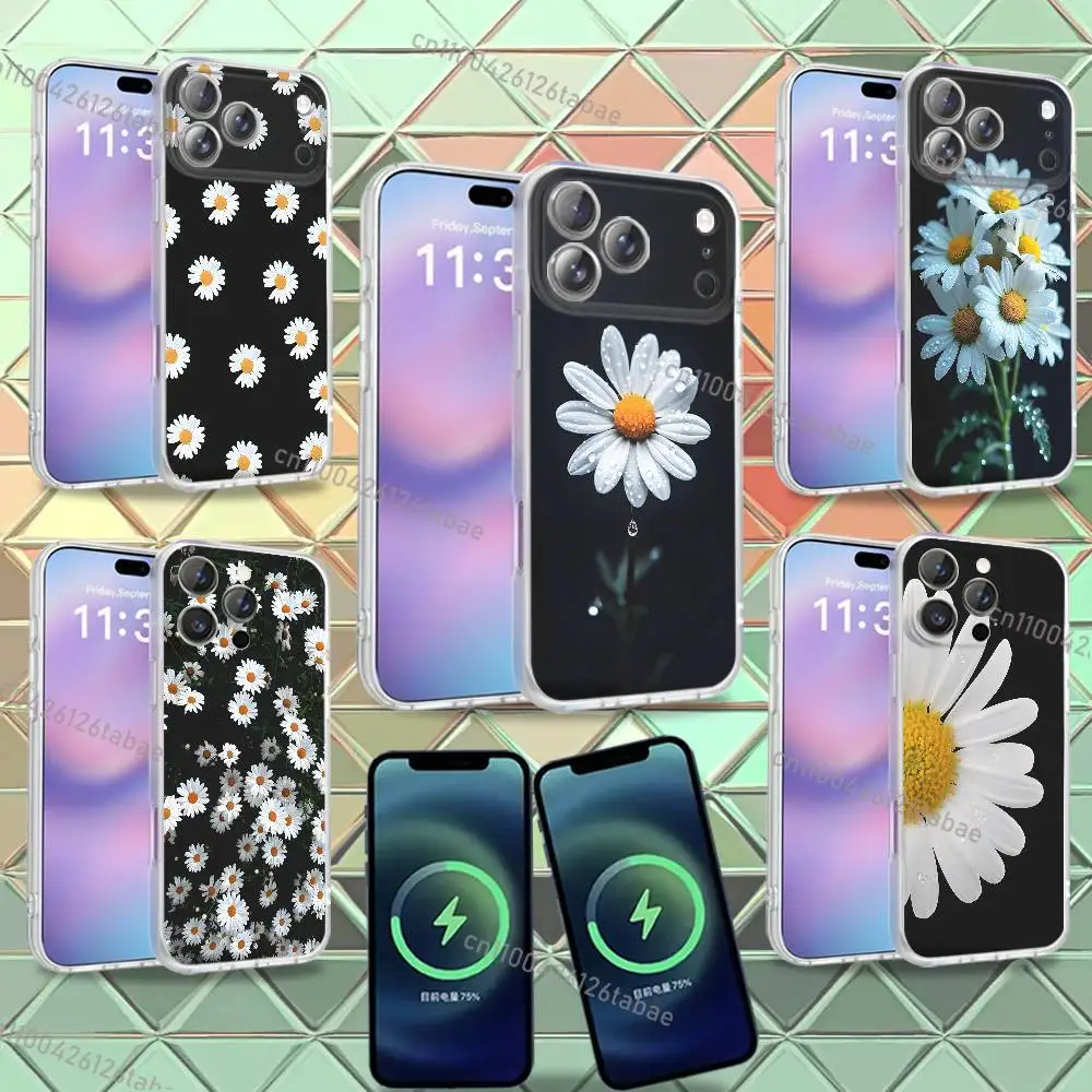 INS HOT White Daisy Flowers Phone Case For iPhone 16,14,11,17,13,15,12,Air,Plus,Pro,Max,E,Mini Frosted for MagSafe Magnetic
INS HOT White Daisy Flowers Phone Case For iPhone 16,14,11,17,13,15,12,Air,Plus,Pro,Max,E,Mini Frosted for MagSafe Magnetic