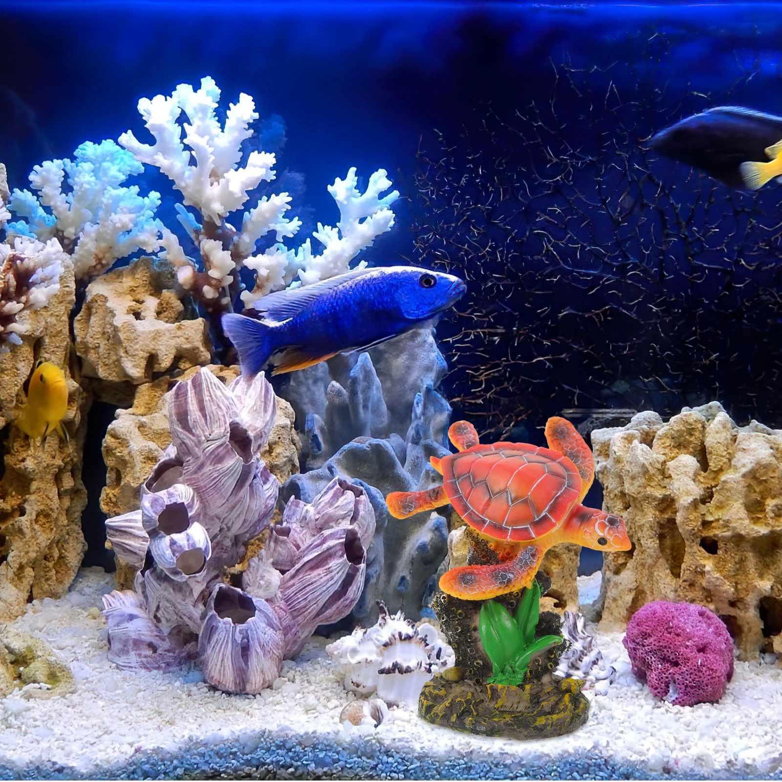 Small Sea Turtle PVC Marine Animal Durable Fish Tank Decoration Lifelike Aquarium Ornament Creative Underwater Adornment
Small Sea Turtle PVC Marine Animal Durable Fish Tank Decoration Lifelike Aquarium Ornament Creative Underwater Adornment