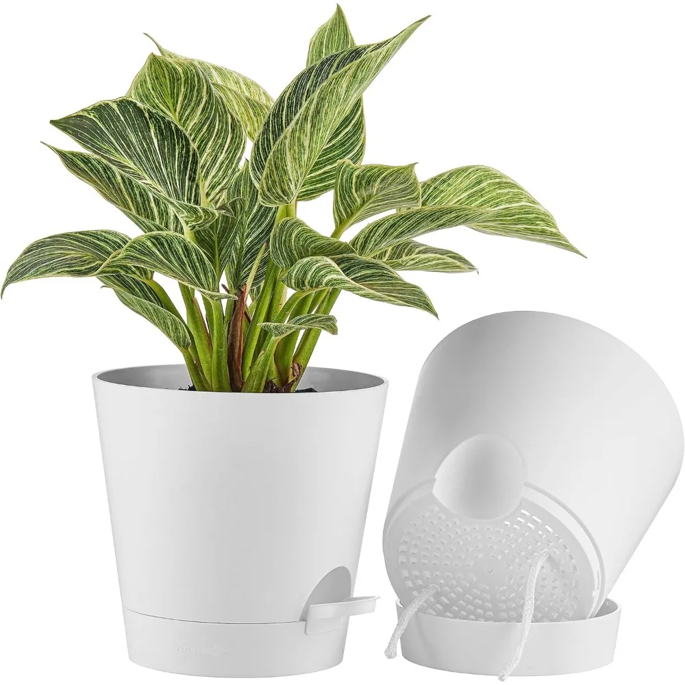 2-Pack 8 Inch Planter Pots for Indoor Outdoor Plants, Self Watering Flower Pots with Deep Reservoir, White
2-Pack 8 Inch Planter Pots for Indoor Outdoor Plants, Self Watering Flower Pots with Deep Reservoir, White