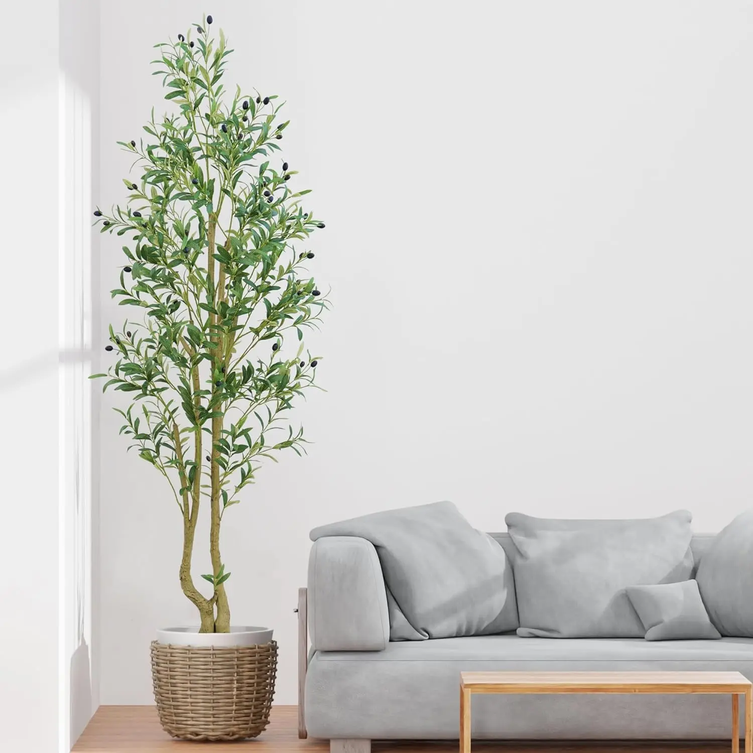 6ft Artificial Olive Tree with White Pot for Indoor Home Living Room Office Decor
6ft Artificial Olive Tree with White Pot for Indoor Home Living Room Office Decor