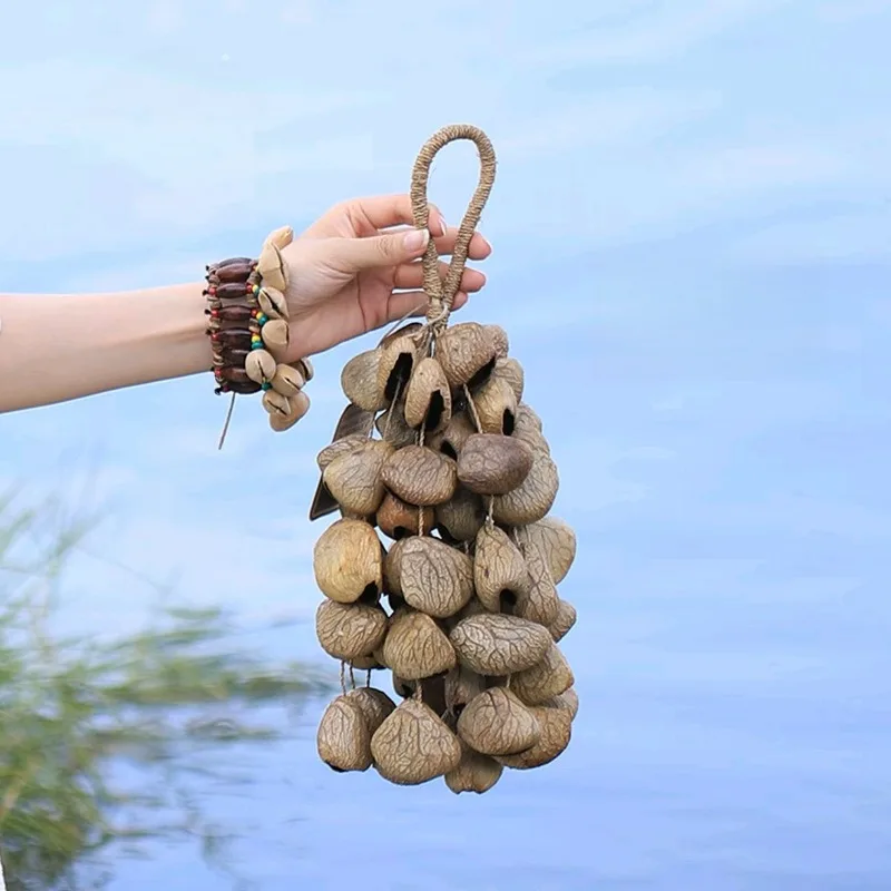 Natural Handmade Fruit Shell Shaker Chacha Rattle Sound Healing Percussion Instrument Yoga Meditation Hand Bells Musical Gift
Natural Handmade Fruit Shell Shaker Chacha Rattle Sound Healing Percussion Instrument Yoga Meditation Hand Bells Musical Gift