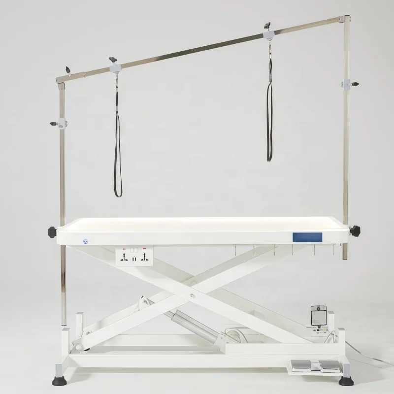 Premium LED Equipped Electric Lift Dog Grooming Table Acrylic Surface For Home & Pet Salon
Premium LED Equipped Electric Lift Dog Grooming Table Acrylic Surface For Home & Pet Salon