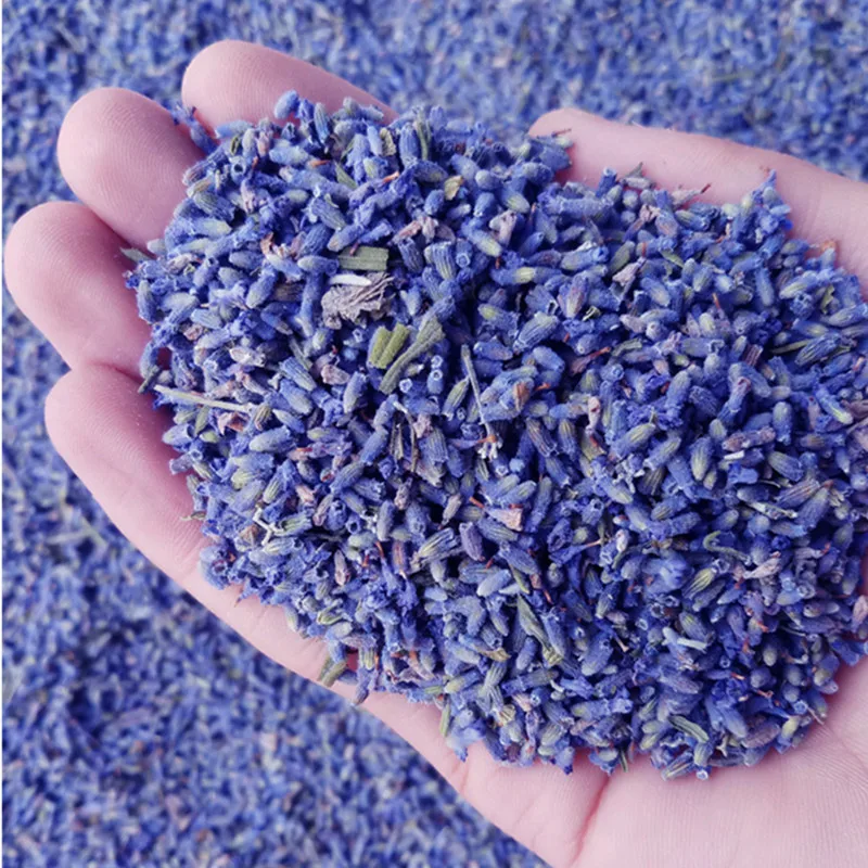 00g/Bag Or 50pcs/Bunch Natural lavender Dried Flowers Real Flower Decoration For Home Office Decor Granules Fruit Dry Dried Flor
00g/Bag Or 50pcs/Bunch Natural lavender Dried Flowers Real Flower Decoration For Home Office Decor Granules Fruit Dry Dried Flor