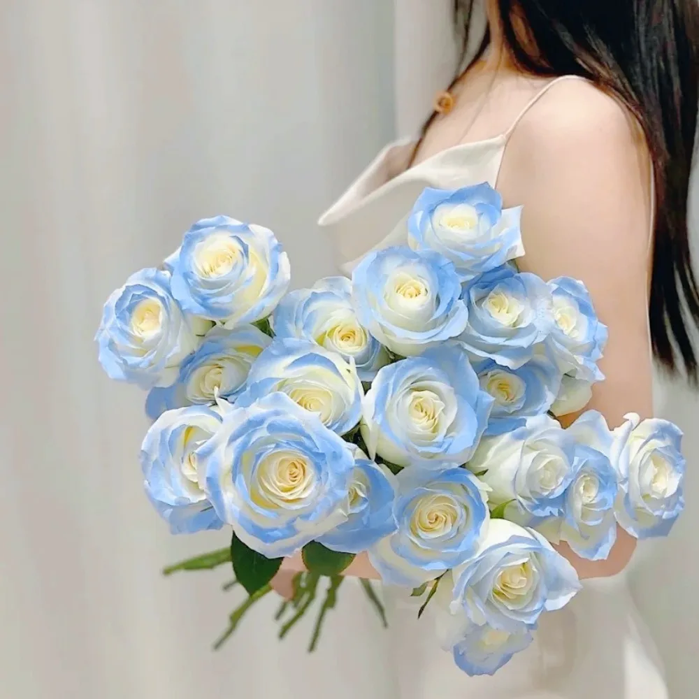 Blue Artificial Rose Bouquet Simulated Moisturizing Feel PVC Flowers Decoration for Wedding Valentines'Day Home Decoration
Blue Artificial Rose Bouquet Simulated Moisturizing Feel PVC Flowers Decoration for Wedding Valentines'Day Home Decoration