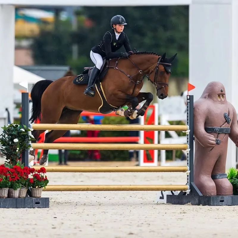 Portable Custom Equestrian Horse Jump with High Strength PVC and Steel Poles for Showground Horse Jumping
Portable Custom Equestrian Horse Jump with High Strength PVC and Steel Poles for Showground Horse Jumping