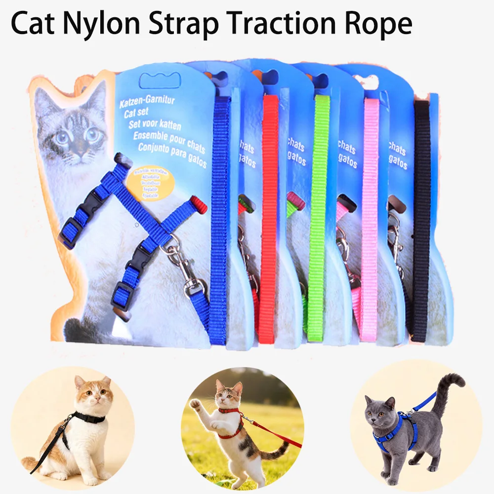 Pet Traction Rope Pet Chest Back Cat Belt Cat Belt Dog Belt Pet Chest Belt Available Colors Cat Chain Cat Belt Back Cat Belt
Pet Traction Rope Pet Chest Back Cat Belt Cat Belt Dog Belt Pet Chest Belt Available Colors Cat Chain Cat Belt Back Cat Belt