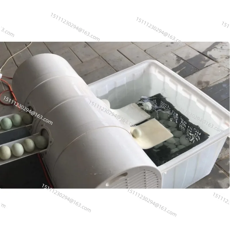 Electric Egg Washing Machine Chicken Duck Goose Egg Washer Egg Cleaner Wash Machine 2400 Pcs/h Poultry Farm Equipment
Electric Egg Washing Machine Chicken Duck Goose Egg Washer Egg Cleaner Wash Machine 2400 Pcs/h Poultry Farm Equipment