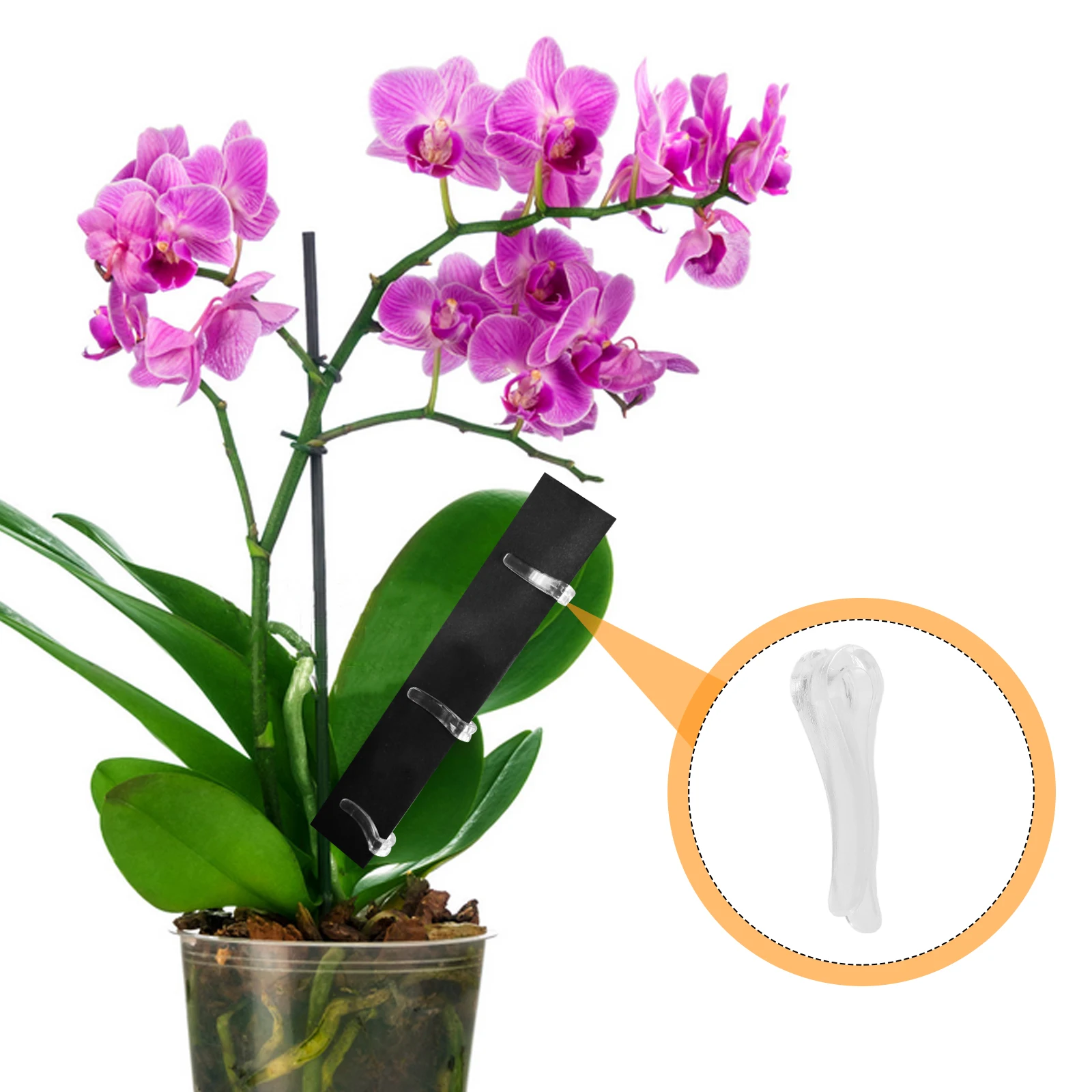 Leaf Shaping Clips Plant Support Fixing Tool Leaf Correction Light Shielding Universal Garden Clips for Indoor
Leaf Shaping Clips Plant Support Fixing Tool Leaf Correction Light Shielding Universal Garden Clips for Indoor