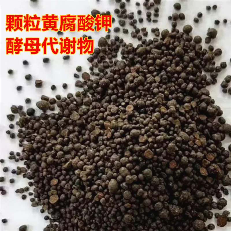 Mineral K fulvic acid humic acid root promoting water soluble for vegetables fruit trees
Mineral K fulvic acid humic acid root promoting water soluble for vegetables fruit trees
