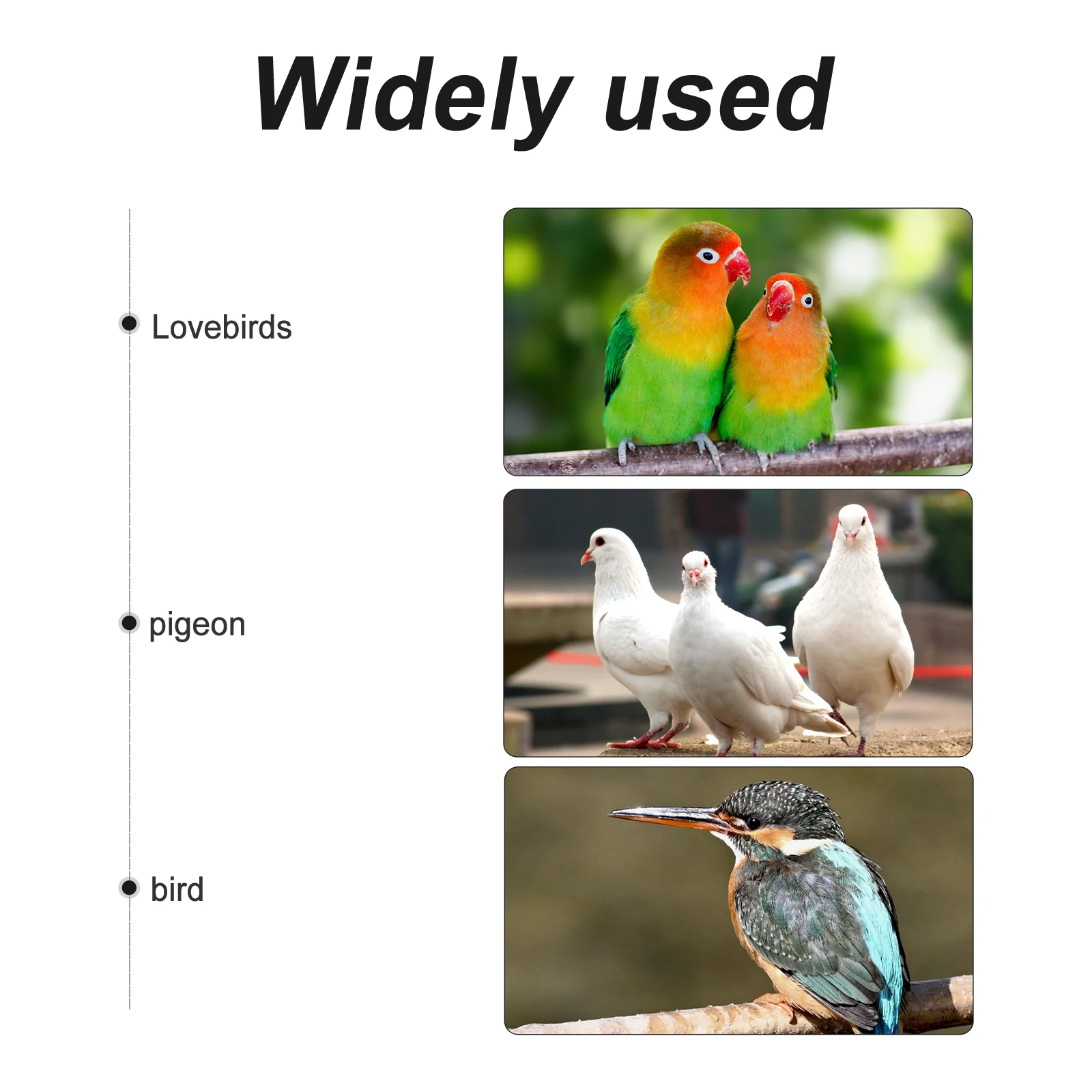 2Pcs Bird Feeder Large Capacity Plastic Pigeon Drinker Transparent Easy Water Dispenser For Bird Install Pet Supplies
2Pcs Bird Feeder Large Capacity Plastic Pigeon Drinker Transparent Easy Water Dispenser For Bird Install Pet Supplies