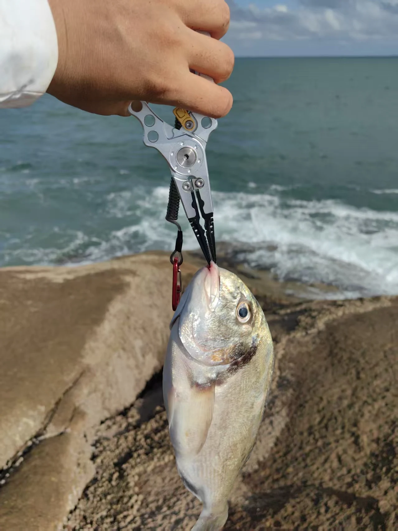 Fishing Tackles Fee , Notice: this link is for customer to pay for extra shipping fee!!!! Shipping fee!
Fishing Tackles Fee , Notice: this link is for customer to pay for extra shipping fee!!!! Shipping fee!