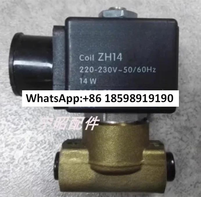 ZB09 solenoid valve, imported fuel ignition solenoid valve ZB14 original coil
ZB09 solenoid valve, imported fuel ignition solenoid valve ZB14 original coil