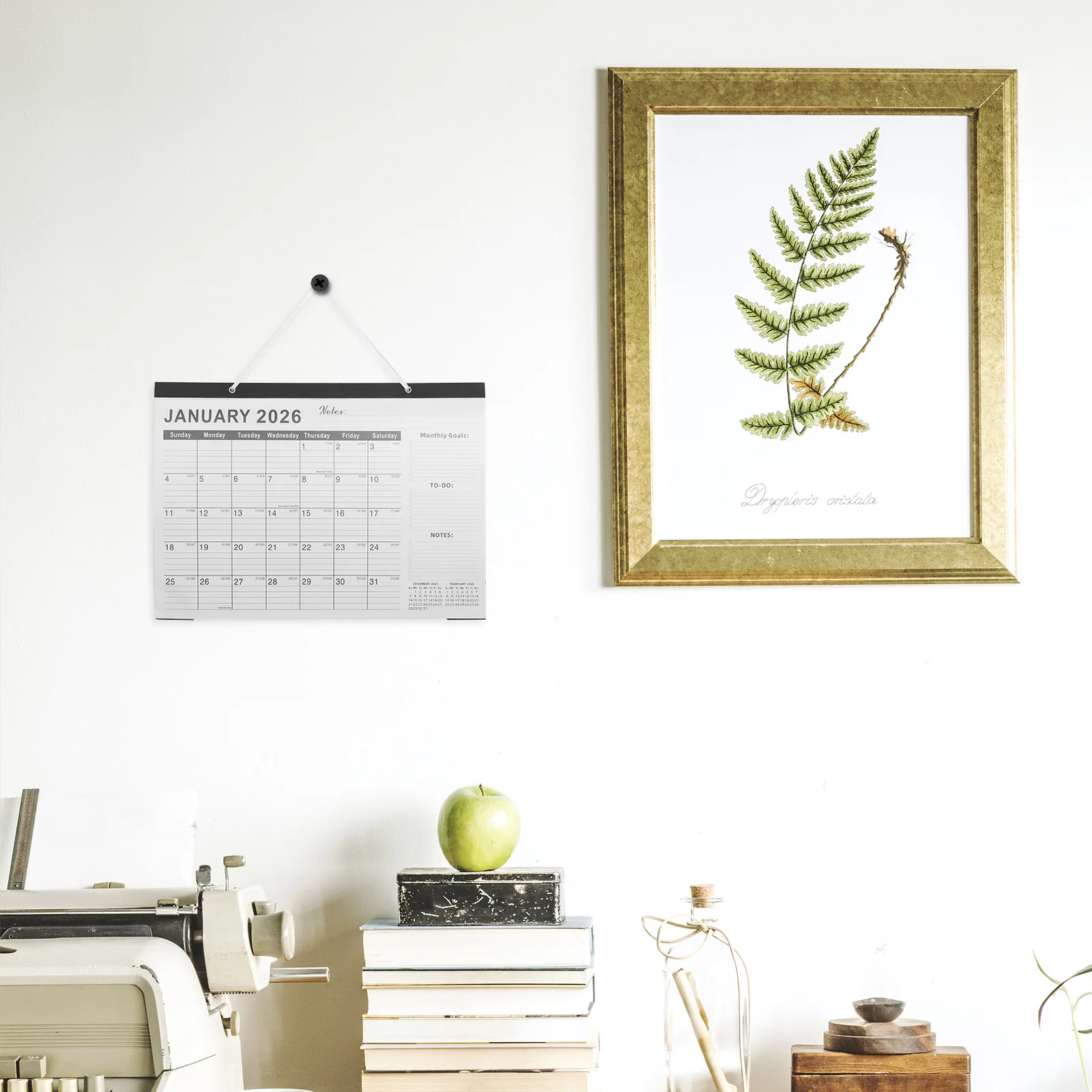 18 Month Wall Calendar 2026 to 2027 Monthly Planner Large Blocks Calendar with Holidays Hanging Wall Planner for Office Home
18 Month Wall Calendar 2026 to 2027 Monthly Planner Large Blocks Calendar with Holidays Hanging Wall Planner for Office Home