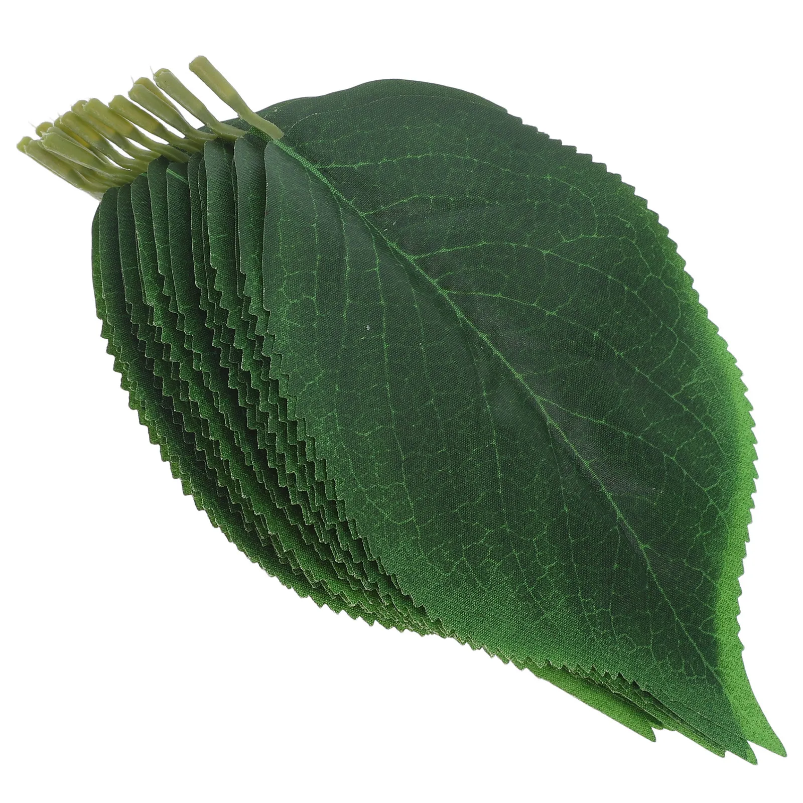 50Pcs Artificial Greenery Fake Leaves Realistic Green Leaf DIY Wedding Bouquets Centerpieces Floral Arrangements Decoration
50Pcs Artificial Greenery Fake Leaves Realistic Green Leaf DIY Wedding Bouquets Centerpieces Floral Arrangements Decoration