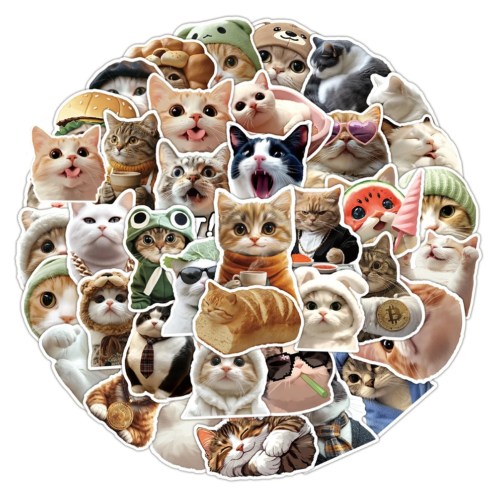 10/30/50pcs Cartoon Funny Cat Meme Stickers Cute Animals Graffiti Sticker Skateboard Phone Case Notebook Waterproof Decals Pack1
10/30/50pcs Cartoon Funny Cat Meme Stickers Cute Animals Graffiti Sticker Skateboard Phone Case Notebook Waterproof Decals Pack1