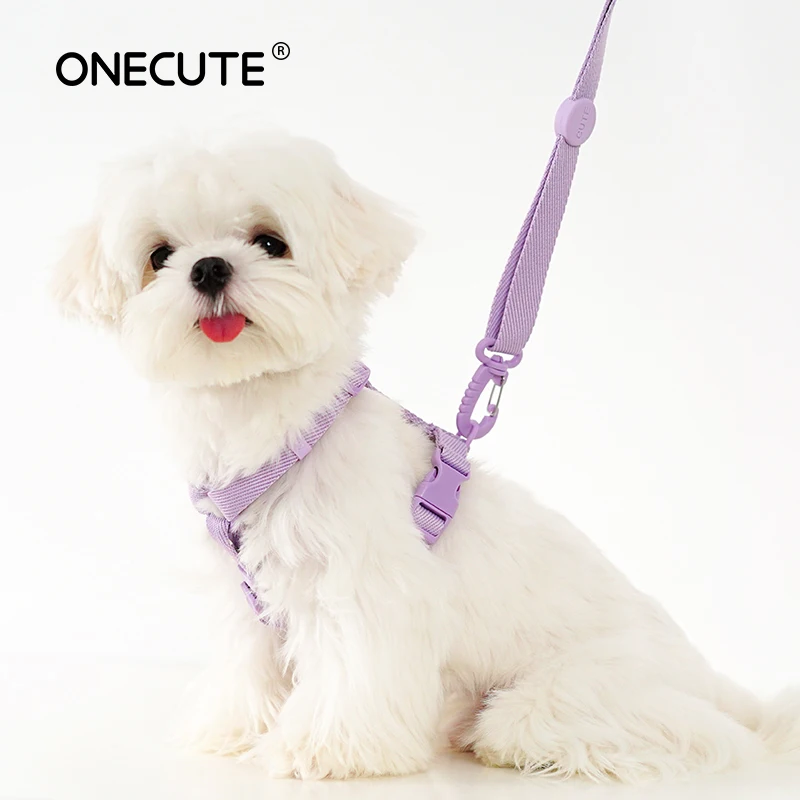 Korean Version of Pet Cats and Dogs Macaroon H-shaped Chest and Back Leash Set Small and Medium-sized Dog Supplies
Korean Version of Pet Cats and Dogs Macaroon H-shaped Chest and Back Leash Set Small and Medium-sized Dog Supplies