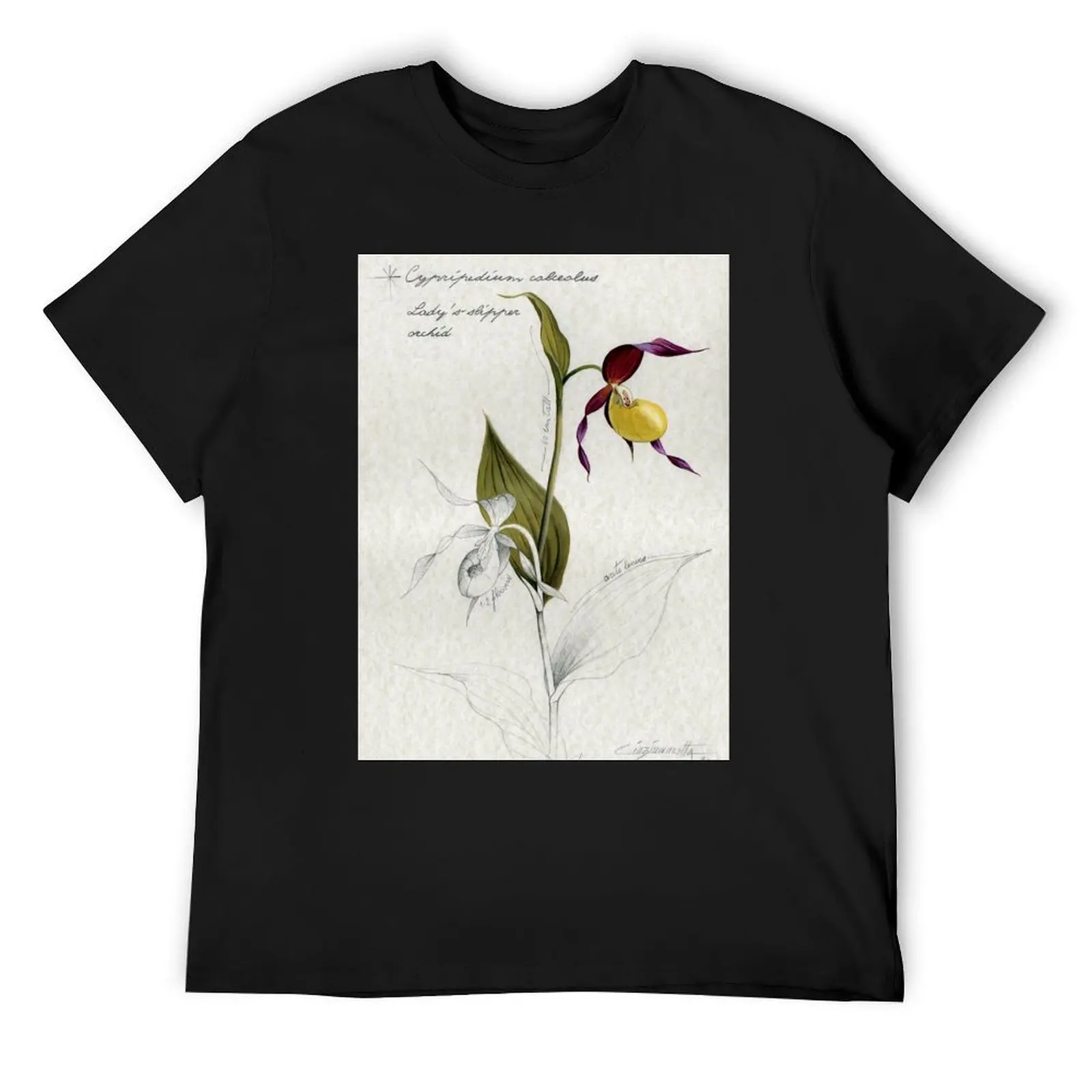 Cypripedium calceolus - Lady's slipper orchid T-Shirt funny costumes rapper graphic tees men t shirts high quality
Cypripedium calceolus - Lady's slipper orchid T-Shirt funny costumes rapper graphic tees men t shirts high quality