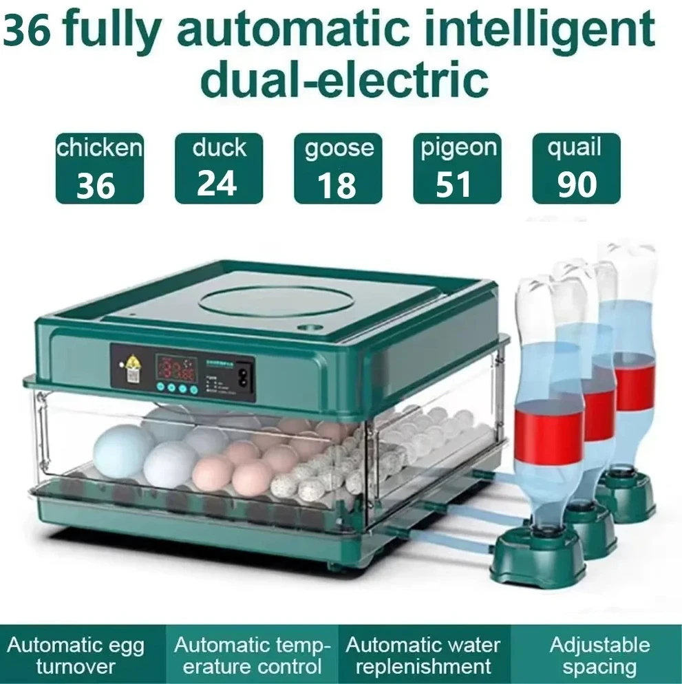 Fully Automatic Incubator With Multiple Functions, Single Power Supply, Intelligent Fully Automatic Egg Hatcher for Home Use
Fully Automatic Incubator With Multiple Functions, Single Power Supply, Intelligent Fully Automatic Egg Hatcher for Home Use