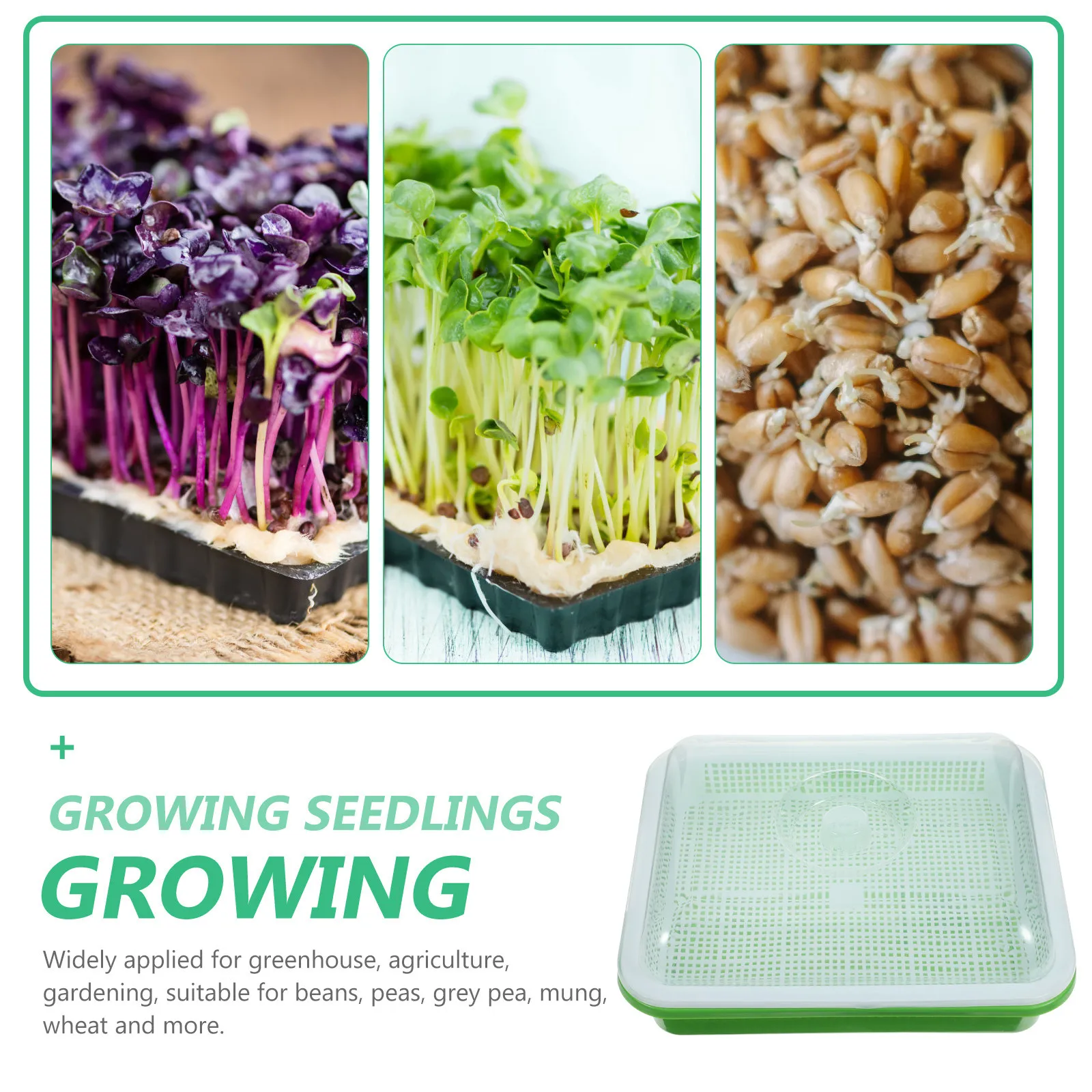 Premium Sprouter Tray with Ventilation Lid for Humid Warm Environment Seedlings Clones Fast Growth Hydroponic Garden Starter Kit
Premium Sprouter Tray with Ventilation Lid for Humid Warm Environment Seedlings Clones Fast Growth Hydroponic Garden Starter Kit