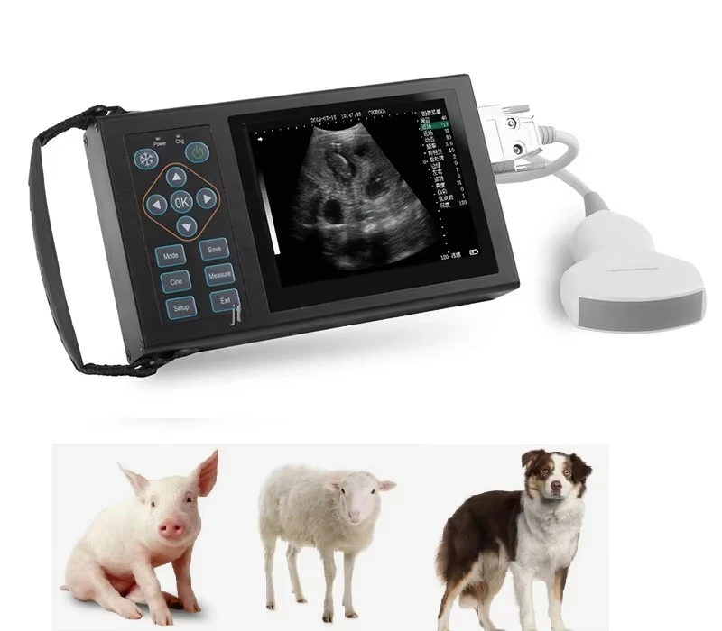 Factory!HD LED Small Animal Pet Dog Vet Farm Use Veterinary Portable Handheld Pig Horse Sheep Ultrasound
Factory!HD LED Small Animal Pet Dog Vet Farm Use Veterinary Portable Handheld Pig Horse Sheep Ultrasound