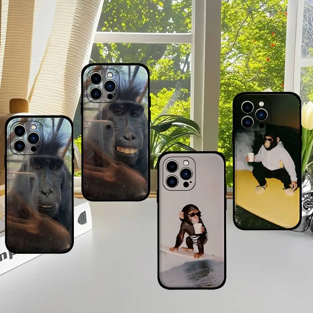 C-Cute F-Funny Monkeys Phone Case Black That Fits For IPhone 17,16,15,11,13,14 Pro Max,Plus,X,Xr,Xs Max,13Mini
C-Cute F-Funny Monkeys Phone Case Black That Fits For IPhone 17,16,15,11,13,14 Pro Max,Plus,X,Xr,Xs Max,13Mini