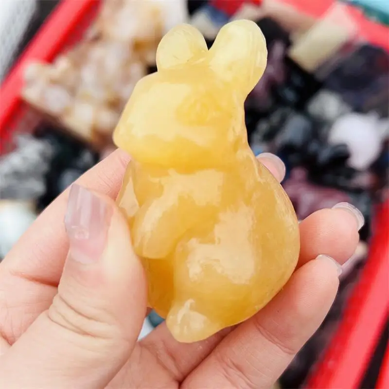 Natural Orange Calcite Rabbit Carving Polished Quartz Animal Healing Stones Gems For Home Decorations 1PCS
Natural Orange Calcite Rabbit Carving Polished Quartz Animal Healing Stones Gems For Home Decorations 1PCS