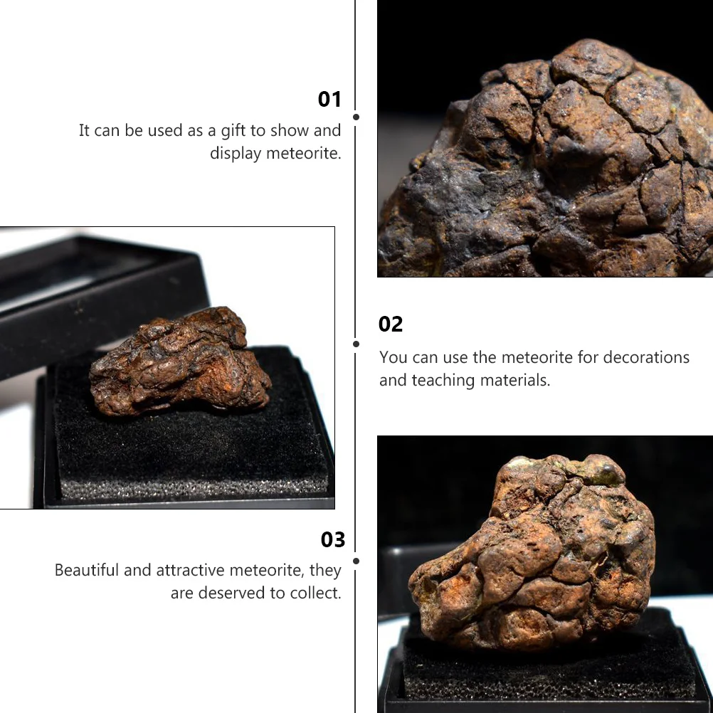 Stone-Iron Meteorite Specimen Real Lithosiderite For Science Education Teaching Tool Decor Display Collection Research Desktop
Stone-Iron Meteorite Specimen Real Lithosiderite For Science Education Teaching Tool Decor Display Collection Research Desktop