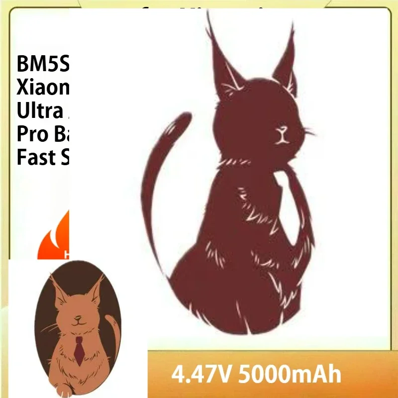 Phone Replacement Battery BM5S 5000mAh for Xiaomi K60 Ultra / Mi 13T Pro Batteries Fast Shipping
Phone Replacement Battery BM5S 5000mAh for Xiaomi K60 Ultra / Mi 13T Pro Batteries Fast Shipping
