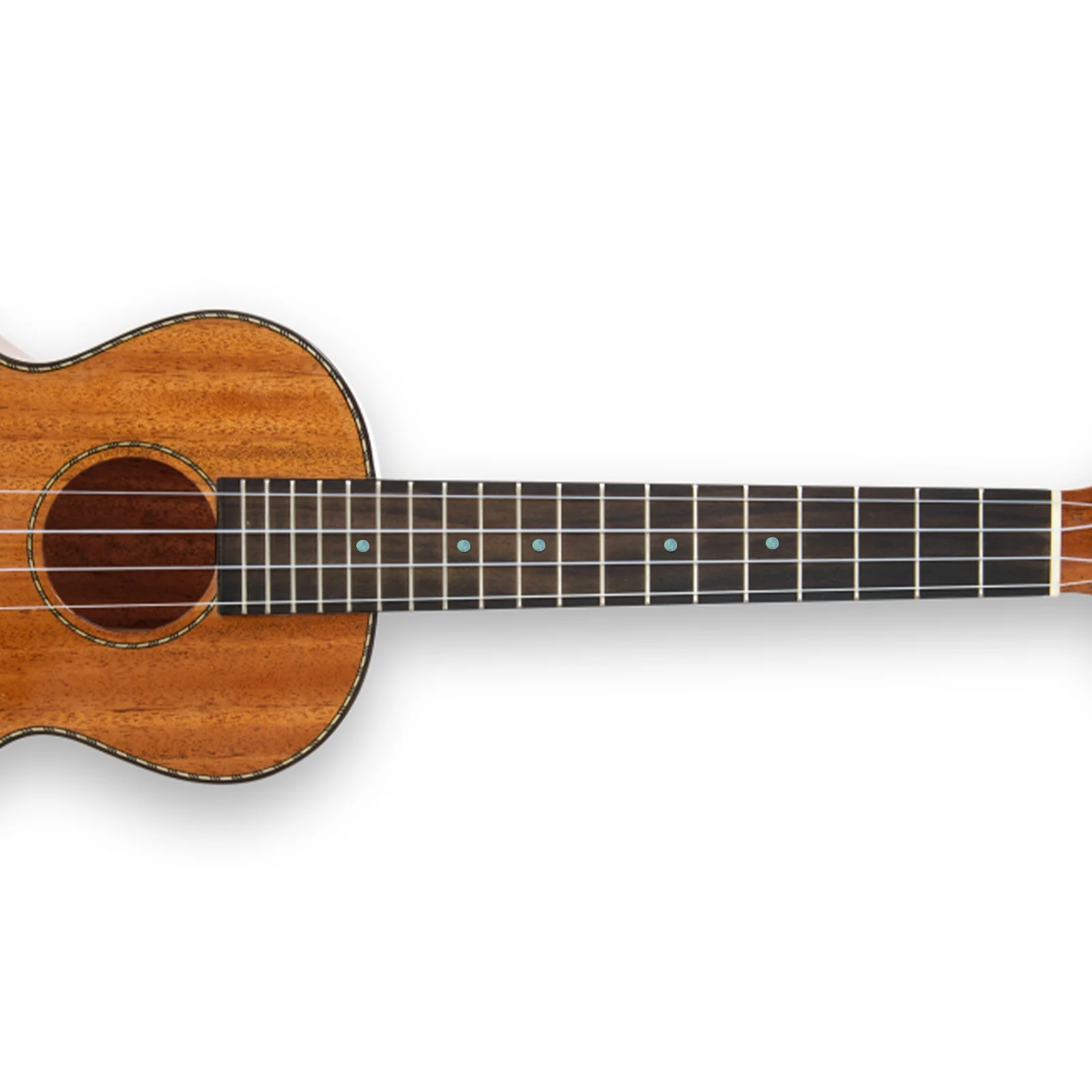 10Pcs Guitar Fingerboard Dots Abalone Inlay Material Shell Decoration for Mandolin Banjo Ukulele Gf44 Dark Green
10Pcs Guitar Fingerboard Dots Abalone Inlay Material Shell Decoration for Mandolin Banjo Ukulele Gf44 Dark Green