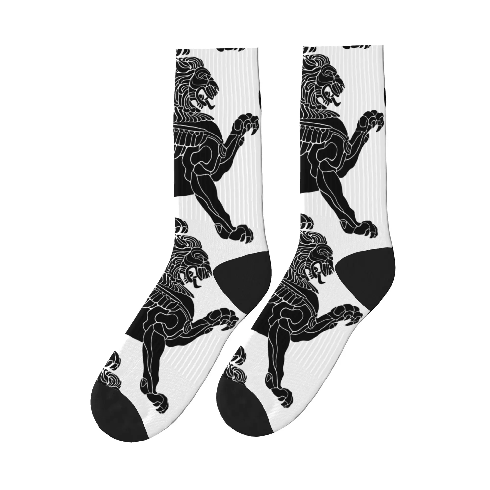 Persian Winged Lion Iran Socks Graphic Stockings Anti Sweat Unisex Men Socks Soft Breathable Autumn Vintage Climbing Socks
Persian Winged Lion Iran Socks Graphic Stockings Anti Sweat Unisex Men Socks Soft Breathable Autumn Vintage Climbing Socks
