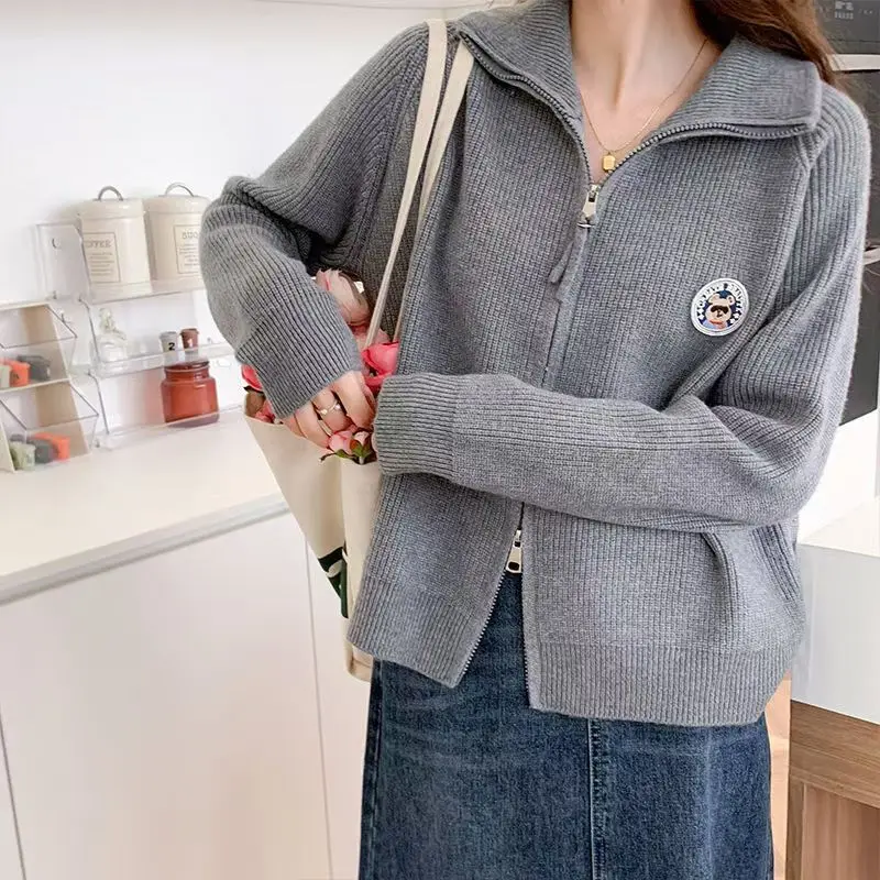 Autumn and Winter Lapel Thick Zipper Knitted Jacket Casual Sweater Cardigan Loose New Embroidered Top
Autumn and Winter Lapel Thick Zipper Knitted Jacket Casual Sweater Cardigan Loose New Embroidered Top