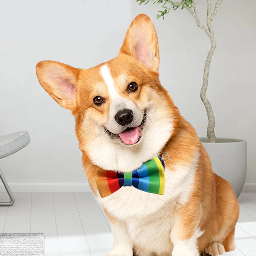 Rainbow Bowknot Cat Adjustable Pet Cute Dog Decor Small Puppy Collar Rainbow Pattern Kitten Collar Accessory Party
Rainbow Bowknot Cat Adjustable Pet Cute Dog Decor Small Puppy Collar Rainbow Pattern Kitten Collar Accessory Party