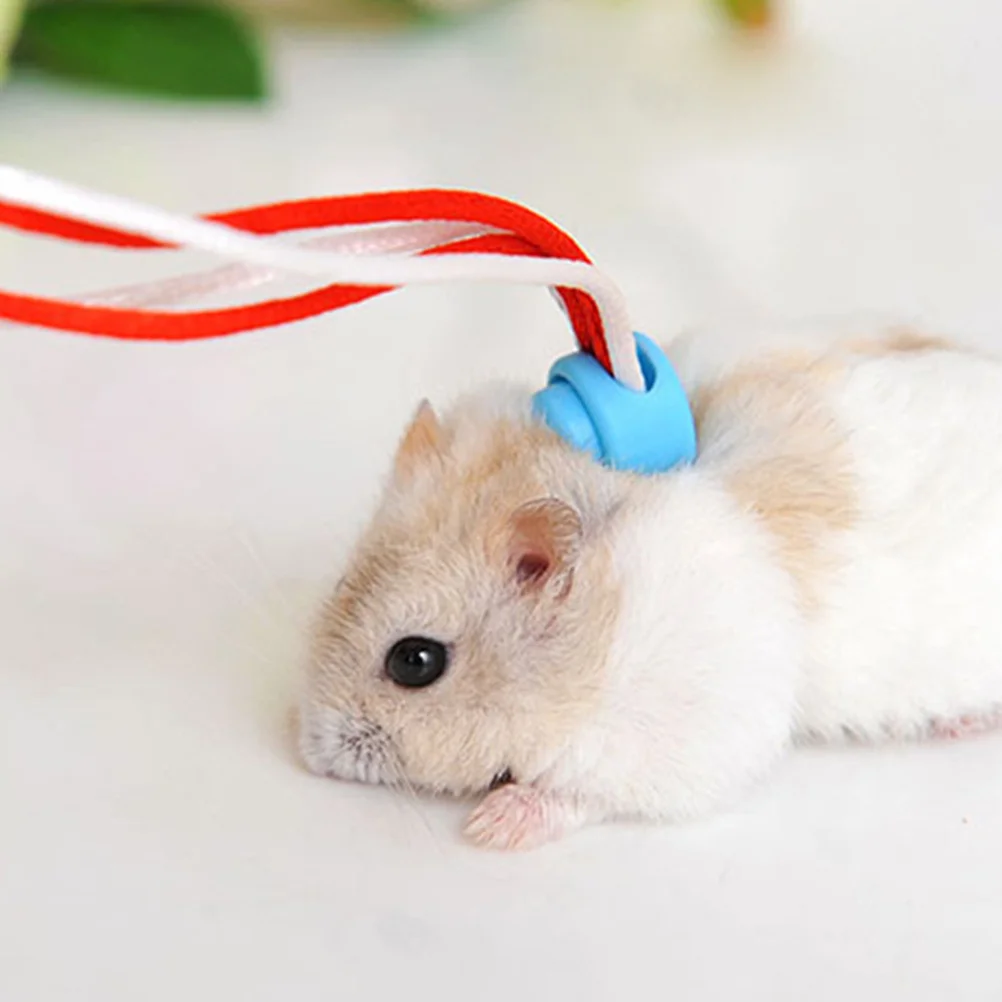 Pet Hamster Cage Leash 1.4 Meters Color Buckle Adjustable Chest Strap Comfortable Soft Cotton Rope Walking Leash Pet Supplies
Pet Hamster Cage Leash 1.4 Meters Color Buckle Adjustable Chest Strap Comfortable Soft Cotton Rope Walking Leash Pet Supplies