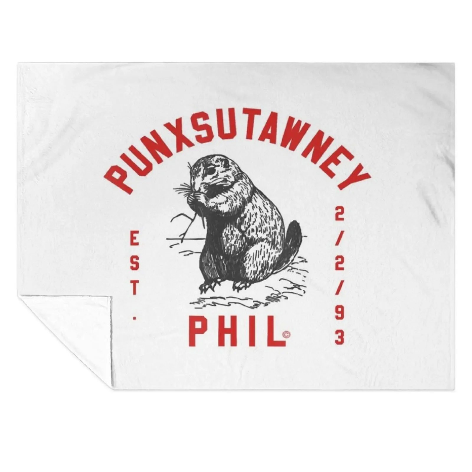 Punxsutawney Phil Groundhog Day Mens Womens Throw Blanket Heavy Luxury Thicken Moving Soft Plaid Blankets
Punxsutawney Phil Groundhog Day Mens Womens Throw Blanket Heavy Luxury Thicken Moving Soft Plaid Blankets