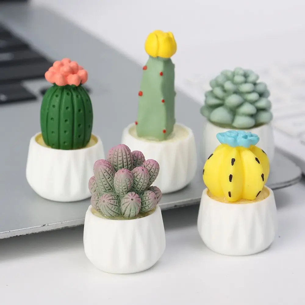 Gift Mini Cute Cactus Car Ornament DIY Cactus Bonsai Model Succulent Plant Pots Resin Home Garden Decor Toy 
Gift Mini Cute Cactus Car Ornament DIY Cactus Bonsai Model Succulent Plant Pots Resin Home Garden Decor Toy