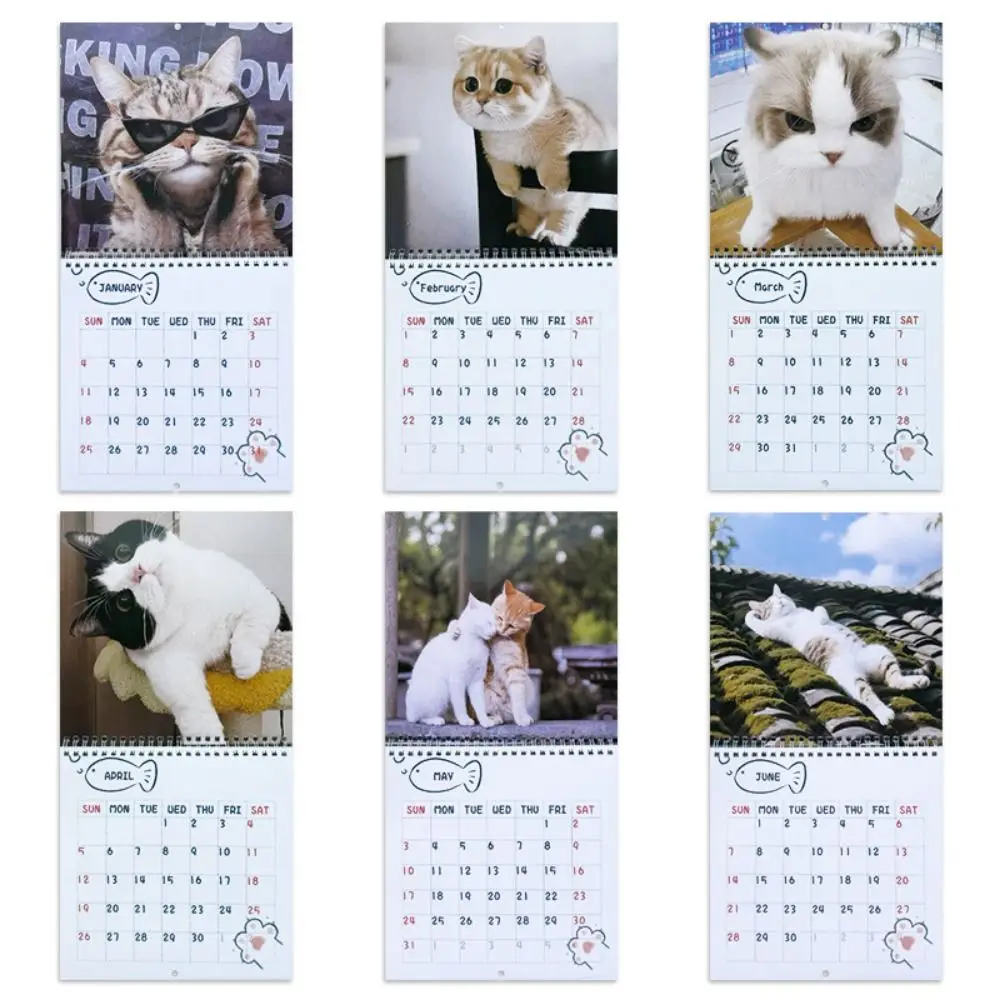 One Month to View 2026 Cat Calendar Memo Planner Schedule Monthly Calendar Adorable Frog-Eyed Hat Cat Monthly & Daily Planner
One Month to View 2026 Cat Calendar Memo Planner Schedule Monthly Calendar Adorable Frog-Eyed Hat Cat Monthly & Daily Planner