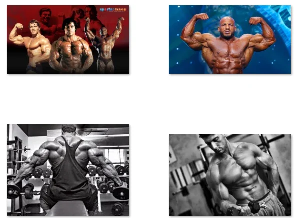 8Style Winners History Bodybuilding, Art Print Silk Poster Home Wall Decor
8Style Winners History Bodybuilding, Art Print Silk Poster Home Wall Decor