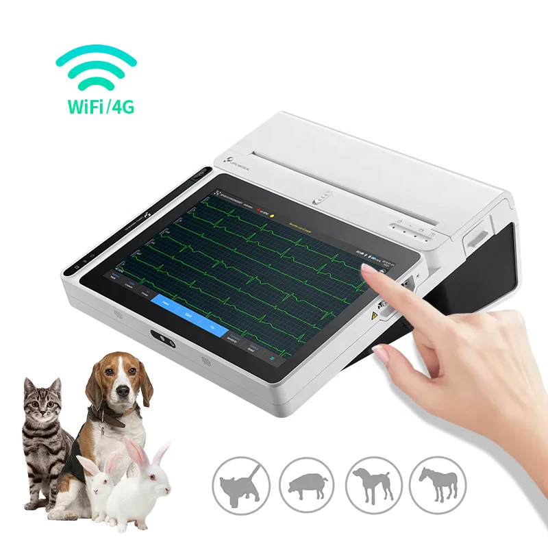 Holter Monitor Dogs Digital Portable 12 Channel Veterinary Ecg Monitor Machine for Animal
Holter Monitor Dogs Digital Portable 12 Channel Veterinary Ecg Monitor Machine for Animal