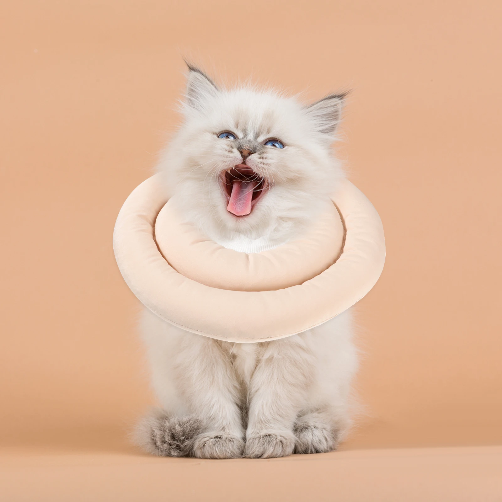 Tarcoal Collar Pet Protective Small Cat Neck Cone Air Fabric Safety Collars The Waterproof Cloth Is Filled with Pp Cotton Soft
Tarcoal Collar Pet Protective Small Cat Neck Cone Air Fabric Safety Collars The Waterproof Cloth Is Filled with Pp Cotton Soft